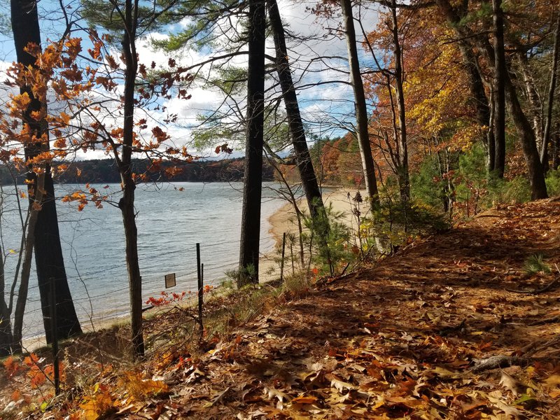 WaldenPond.jpg