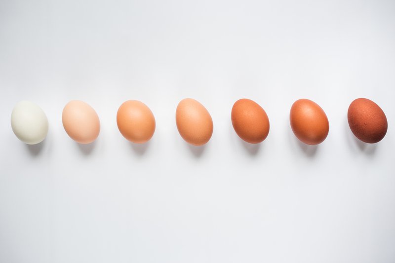 diversity