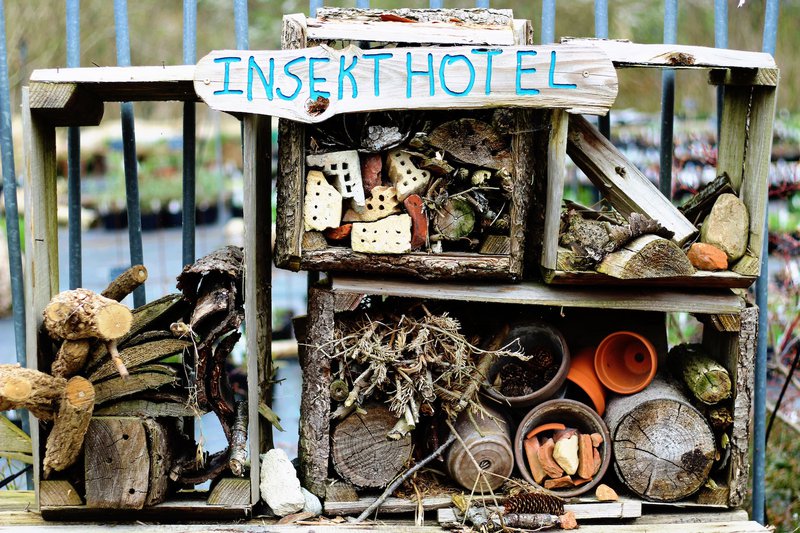 Bug Hotel