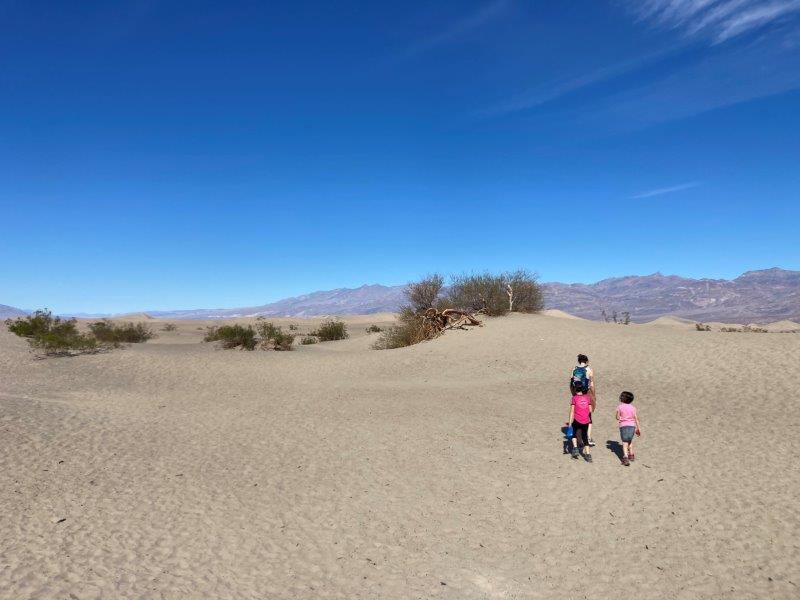 Death Valley National Park Mesquite Flat Sand Dunes.jpg