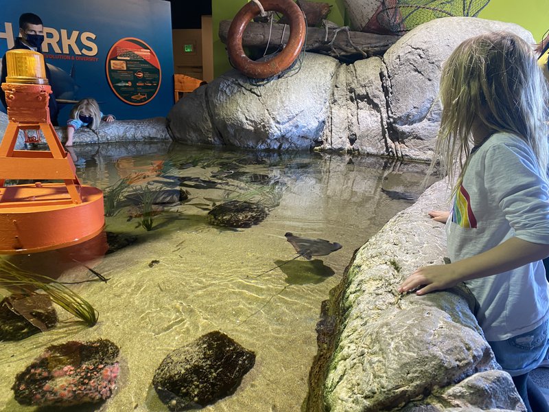 Aquarium of the Bay