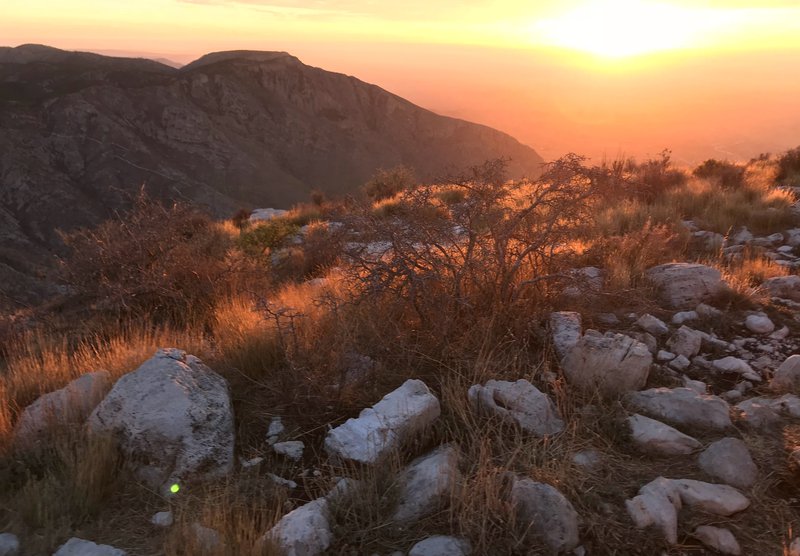 Guadalupe National Park