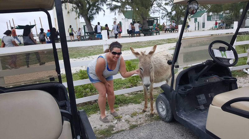Grand-Turk-Donkey