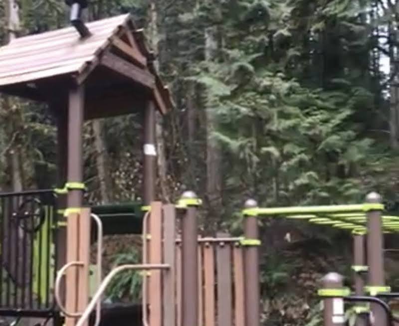 Marshall Park Playground