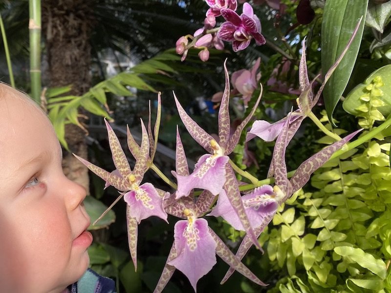 US Botanic Gardens