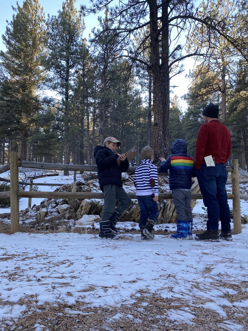 Completing Jr. Ranger Packet at Florissant Fossil Beds