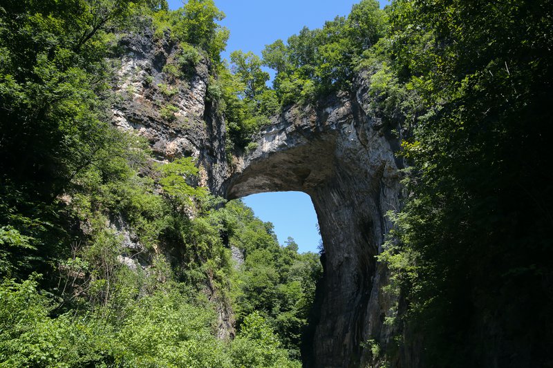 Natural Bridge State Park.jpeg