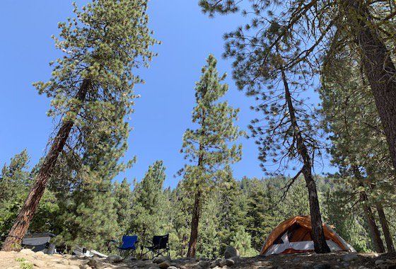 Sequoia National Park Lodgepole Campground