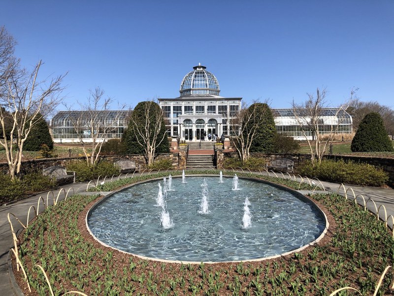 Lewis Ginter