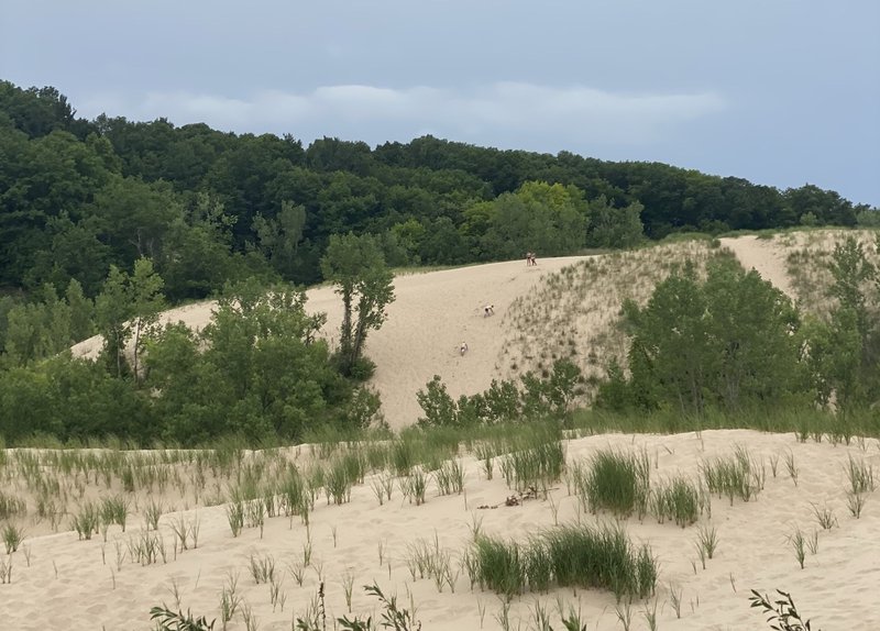 warren dunes Michigan.jpeg
